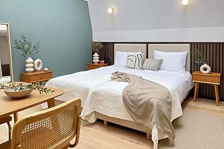 Studio Apartment with King Bed
