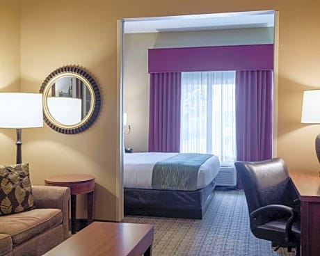 King Suite - Accessible/Non-Smoking