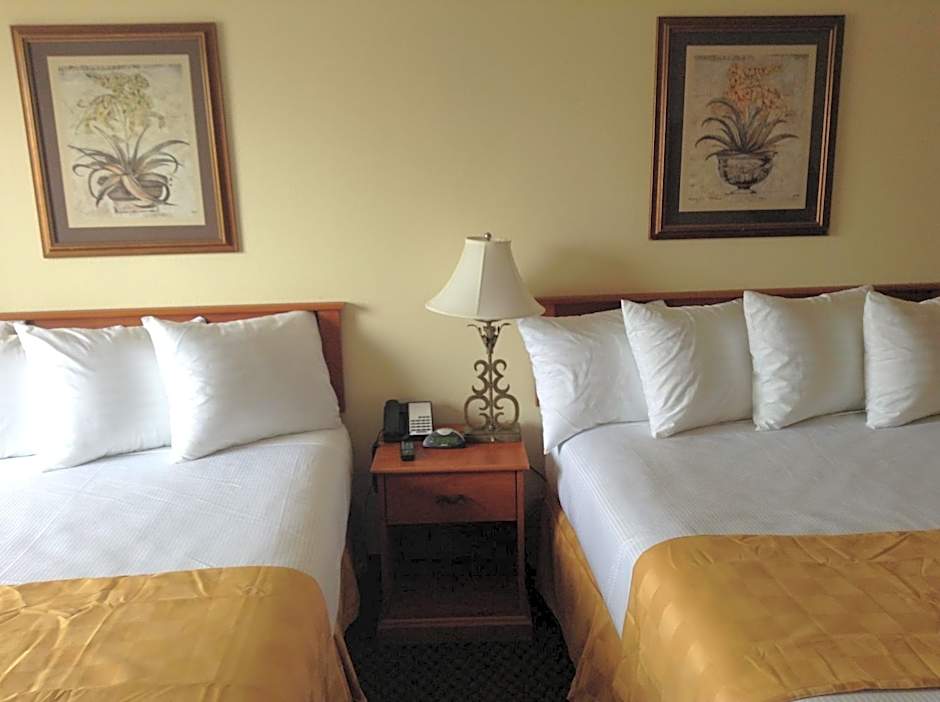 Best Inn & Suites