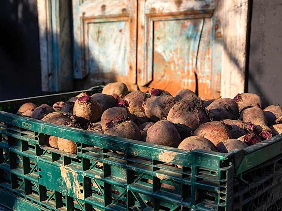 LA TERRA NAGANOーVacation STAY 96079v