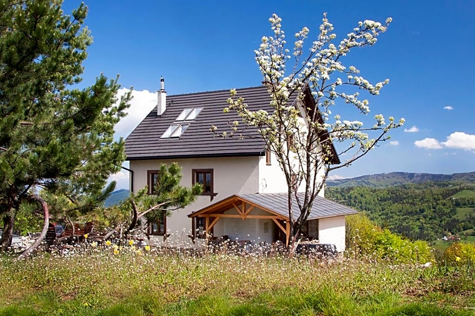 Swoboda na szczycie góry