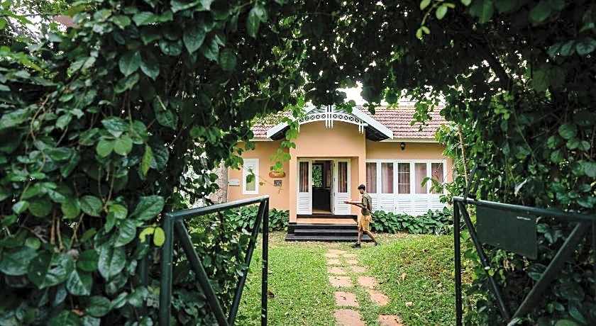 After the Rains - Rainforest Lodge