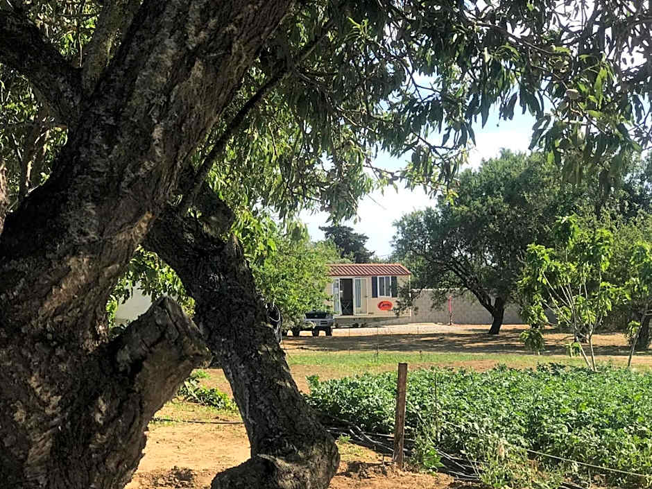 The Farm Tiny House - Tiny Casa