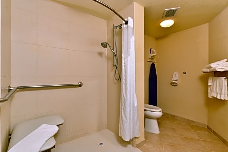 1 King 1 Queen Standard Mobility Accessible Roll Shower