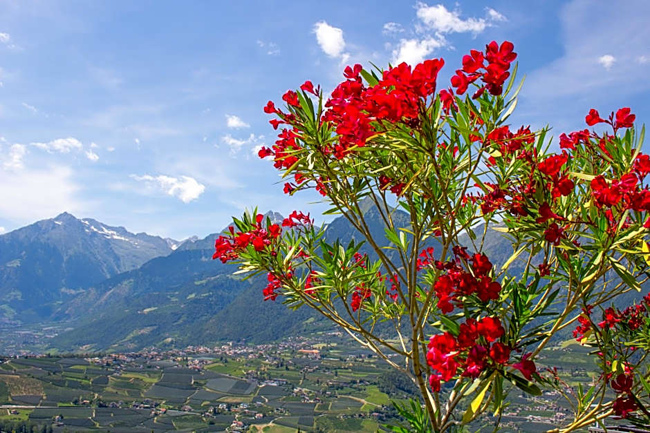 Schenna Garni Eden Bed & Breakfast