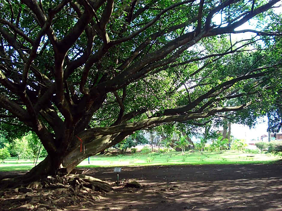 Airport Hotel Costa Rica