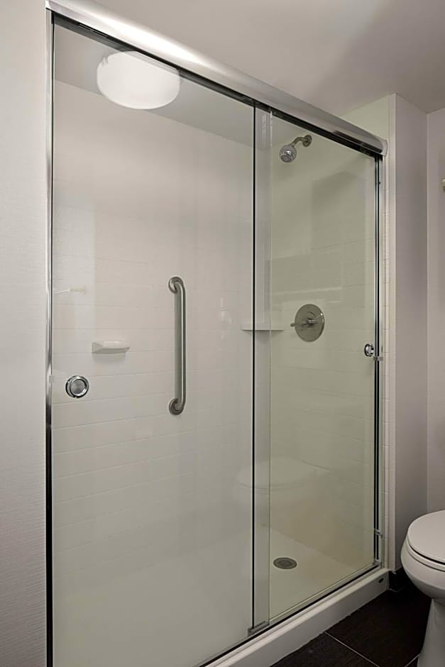 Hampton Inn By Hilton Brooklyn Downtown