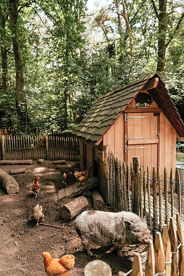 Cozy cottages by Bed en Boshuisjes