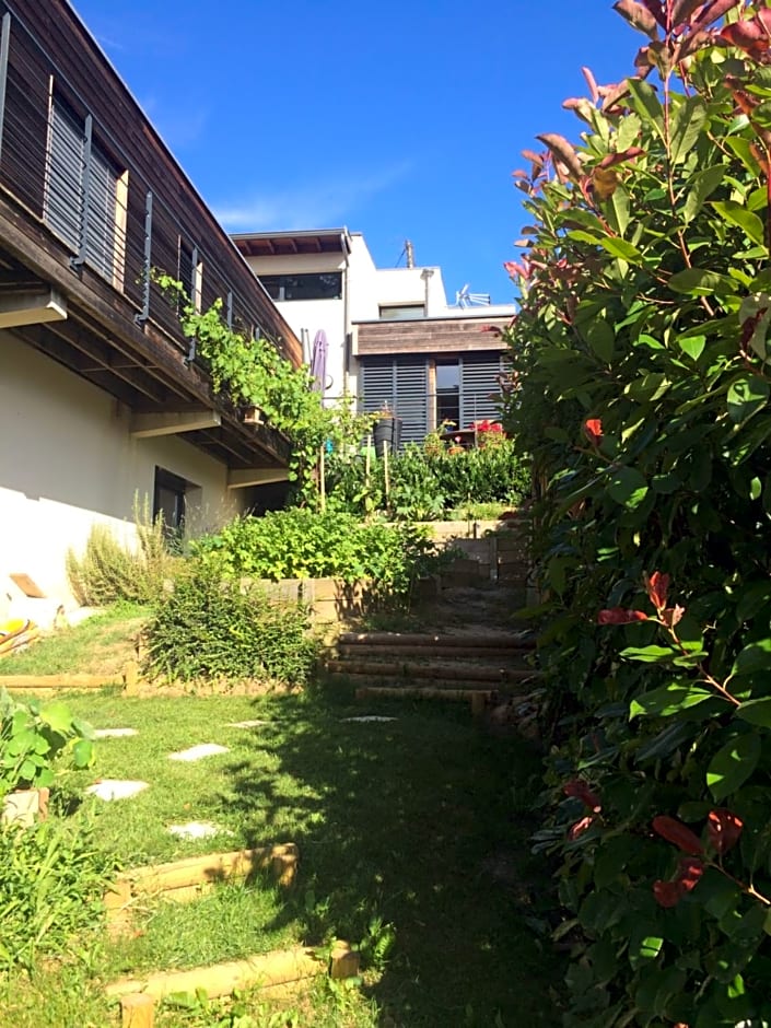 Les Terrasses de Rochetaillée