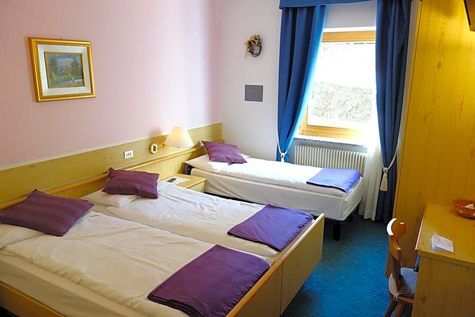 Alpine Touring Hotel-petfriendly