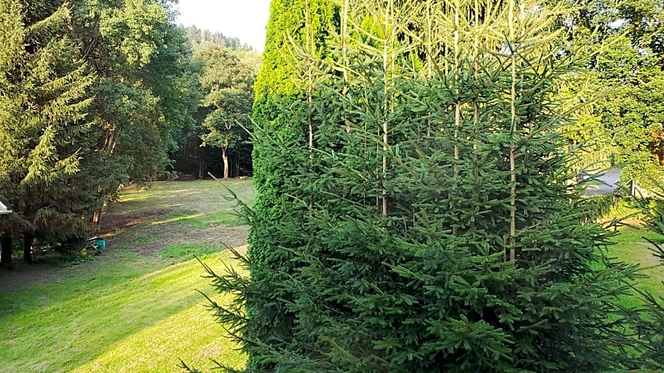 Hotel Bielatal