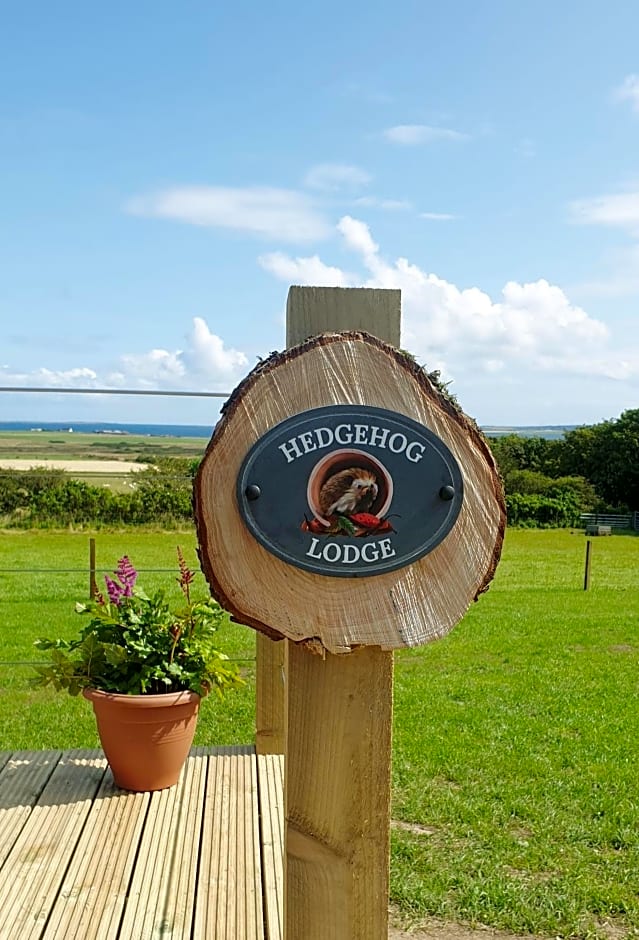 Lilly's Lodges Orkney Hedgehog Lodge