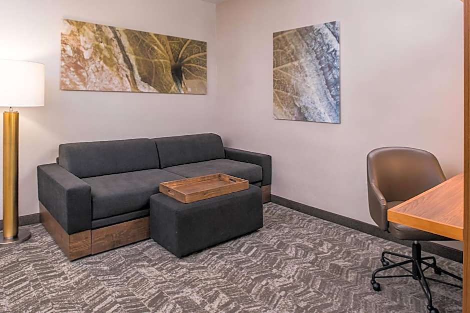 SpringHill Suites by Marriott Huntsville Downtown