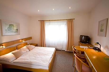 Standard Double or Twin Room with Garden View