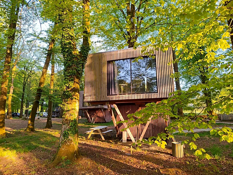 L'étape en forêt