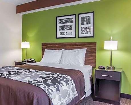 Queen Room - Disability Access/Non-Smoking