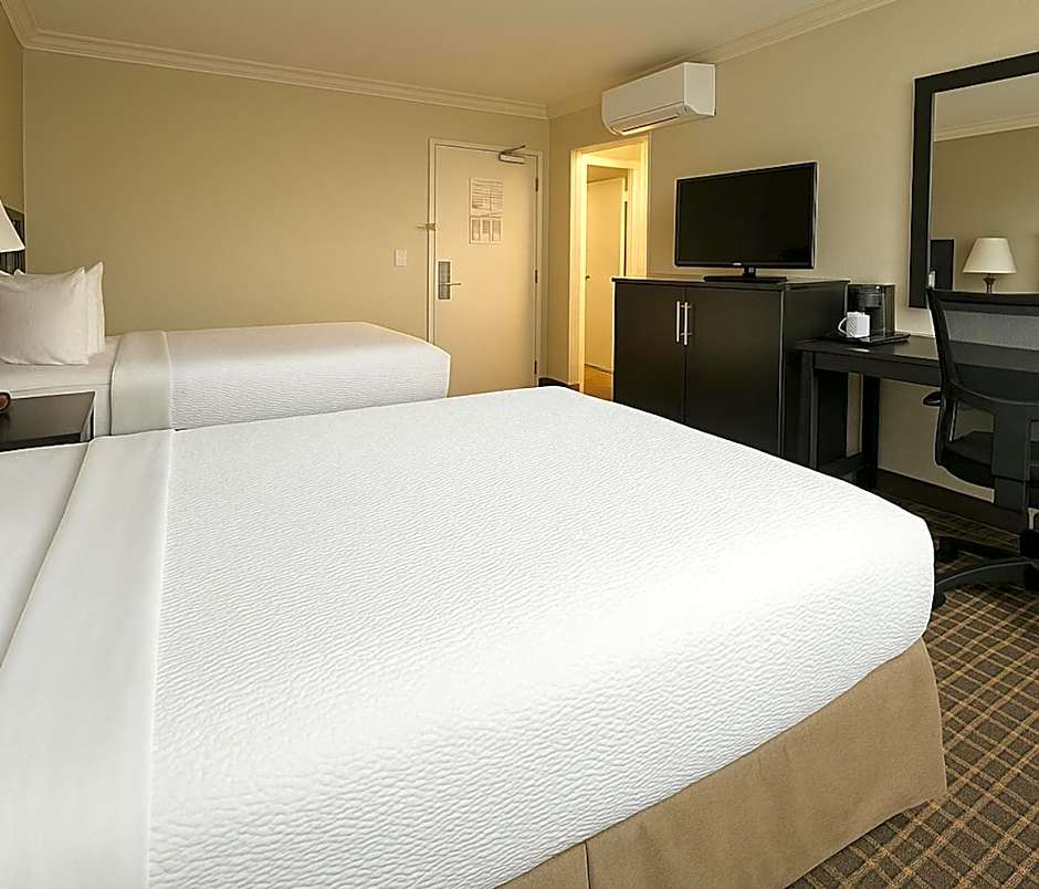 The Live Hotel