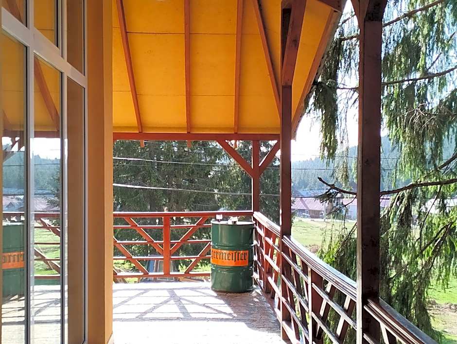 Pensiunea Cabana Art