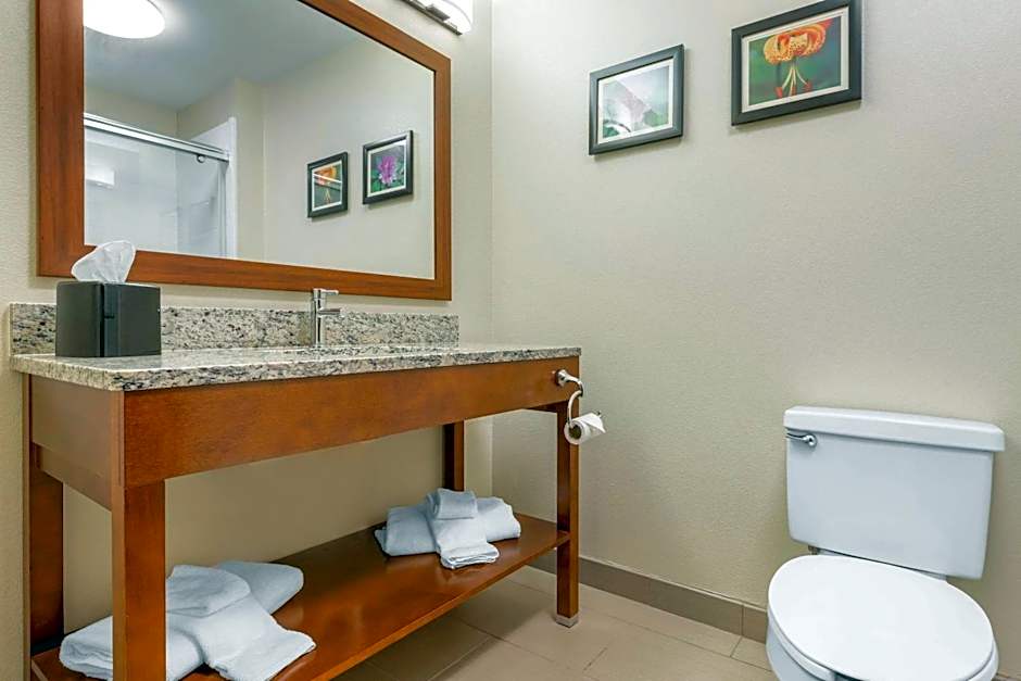 Comfort Inn & Suites Lenoir Hwy 321 Northern Foothills