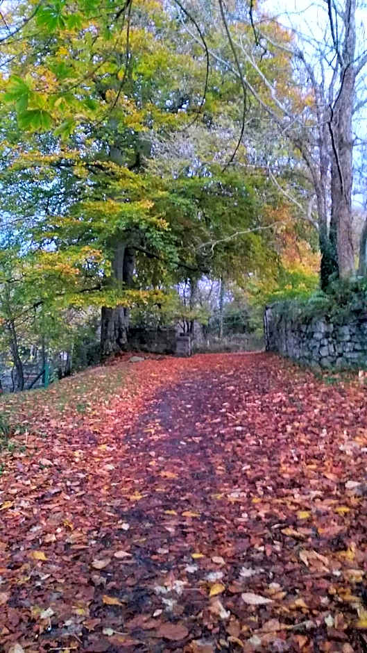 Mill Lane