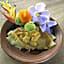 Echoland Boutique Bed And Breakfast