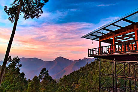 Chandys Drizzle Drops