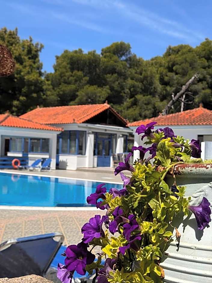 Vassilis Studios