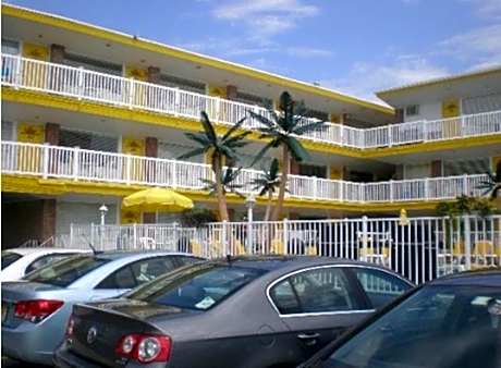 American Safari Motel
