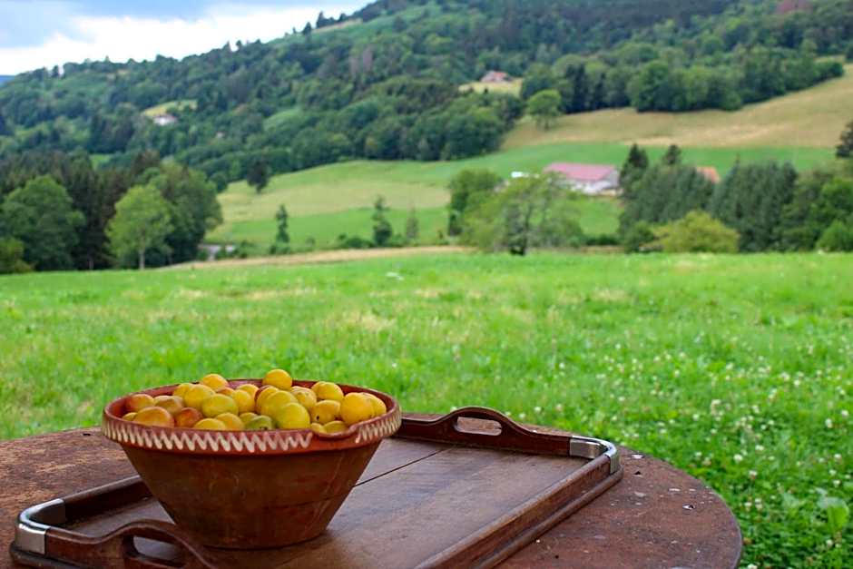 La Ferme de Jean entre lacs et montagnes