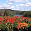 Skytop Lodge