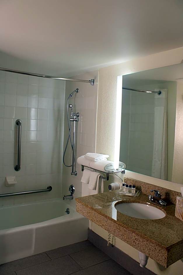 Wyndham Flint MI/Grand Blanc/Bishop Airport/Conference Ct