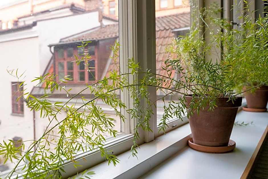 STF Hostel Stigbergsliden