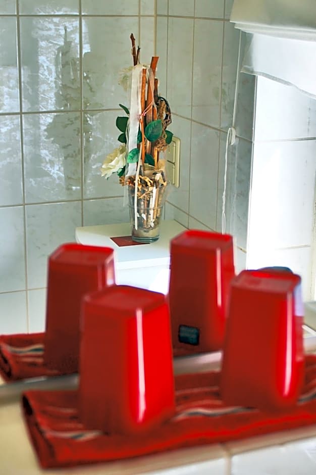 Hotel Schwarzes Ross Siebenlehn