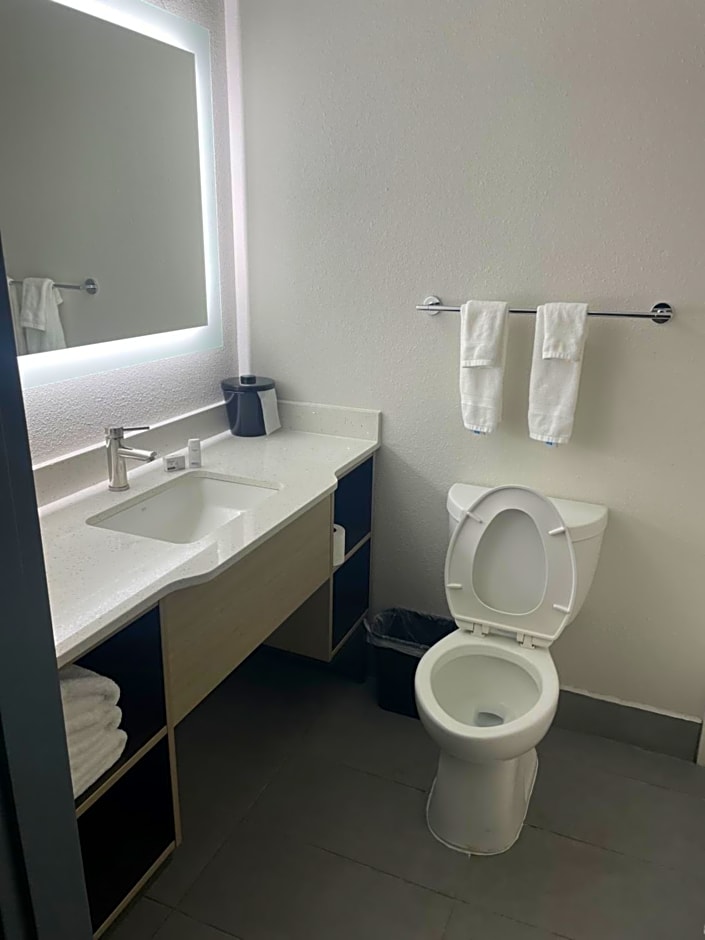 Wingate by Wyndham Savannah Gateway