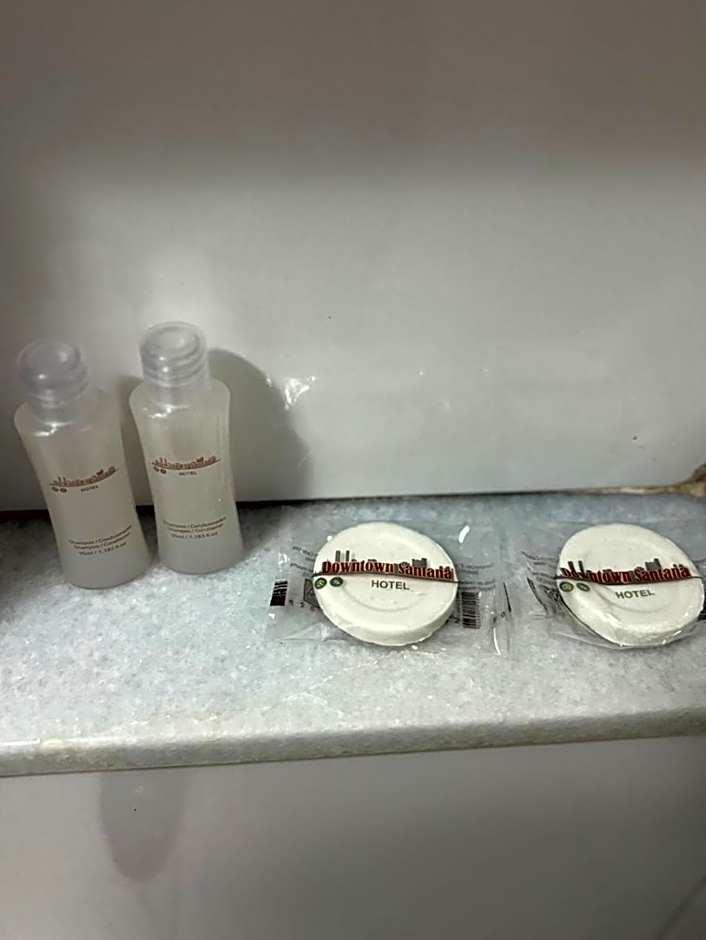 Downtown Santana Hotel