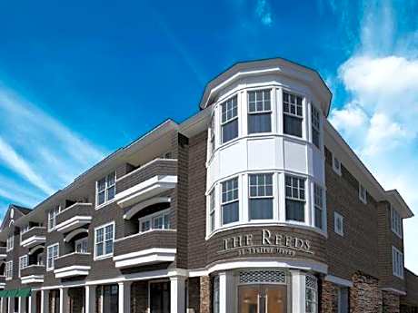 The Reeds at Shelter Haven