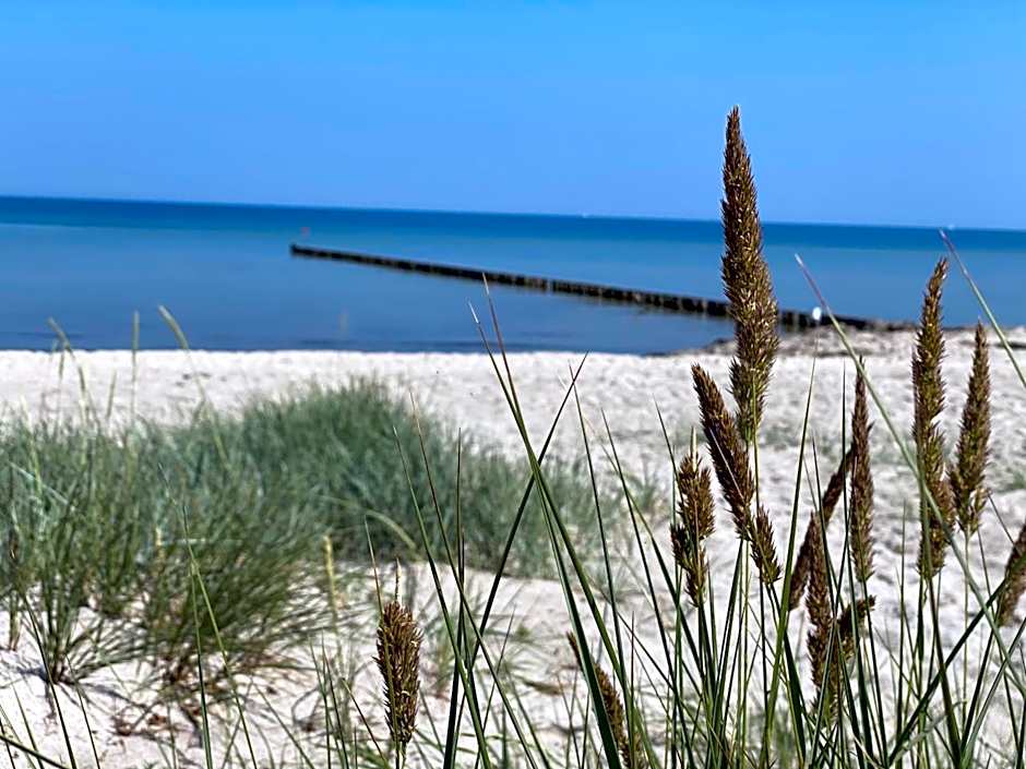 Appartementhaus Möwe