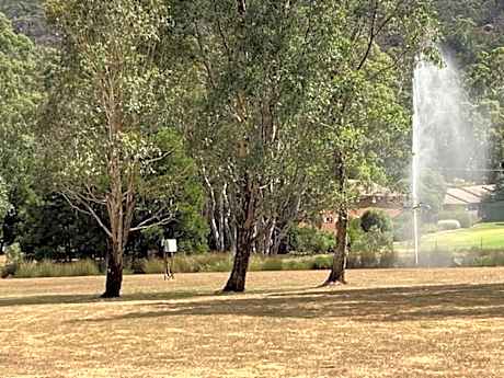 Bushland