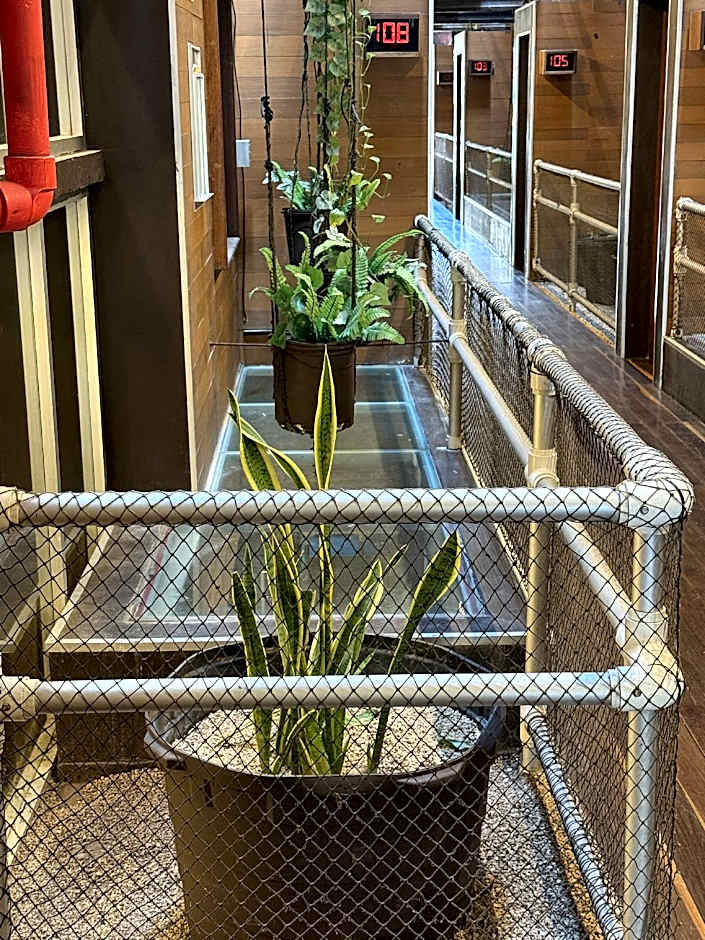 Hotel Kavia 5th Avenida