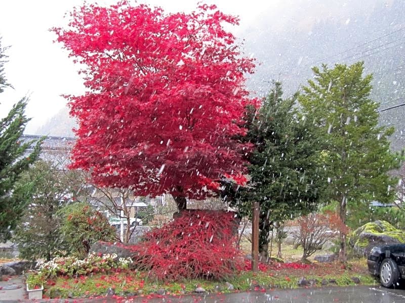 Ryokan Hozanso