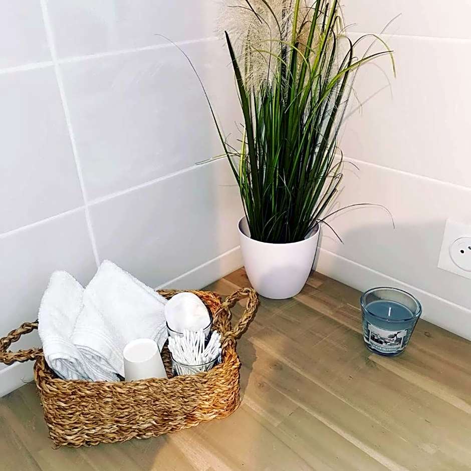 ETCHE ARGUINIA CHAMBRES HOTES et SPA