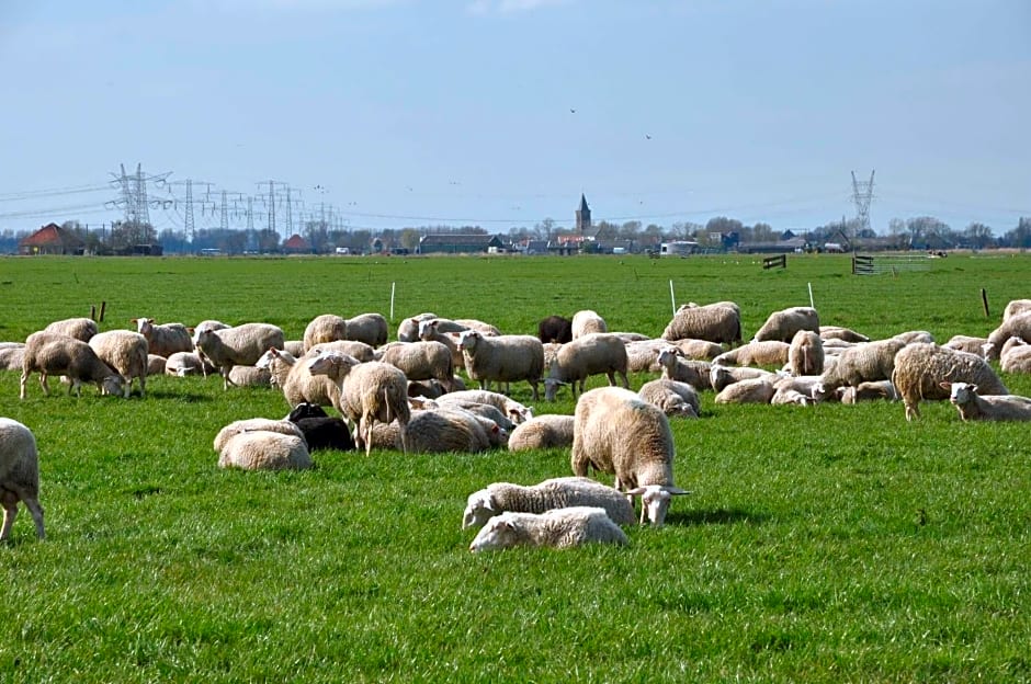 Gypsy Waggon - A villa on wheels