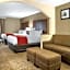 Comfort Inn & Suites Macon North I-75