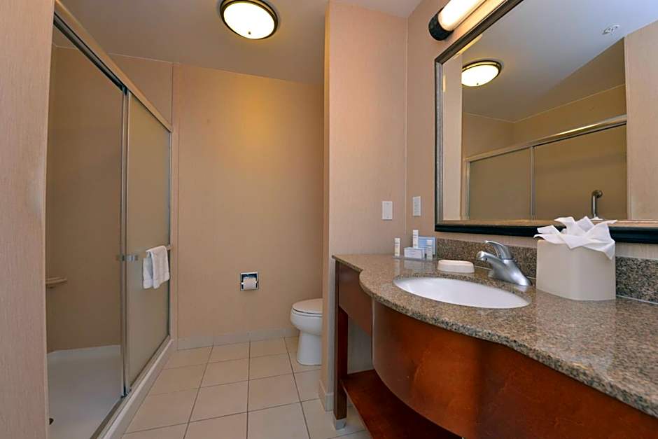 Hampton Inn By Hilton And Suites Bakersfield North-Airport