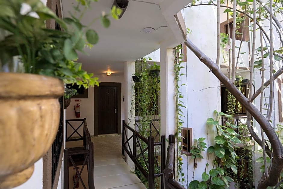 Posada Mariposa Boutique Hotel - 5th Avenue