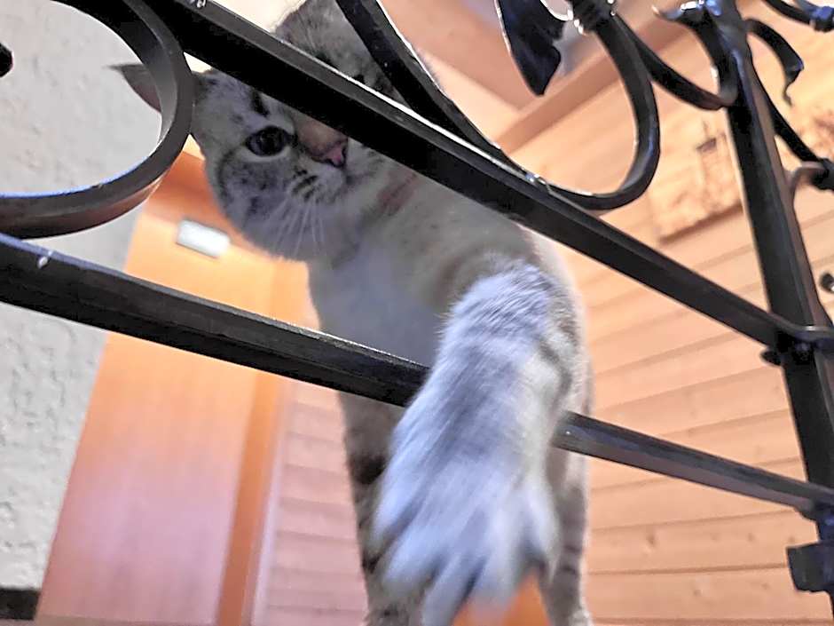 Hotel-Garni Kalkbrennerhof