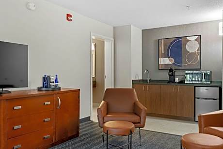 One-Bedroom King Suite with Sofa Bed