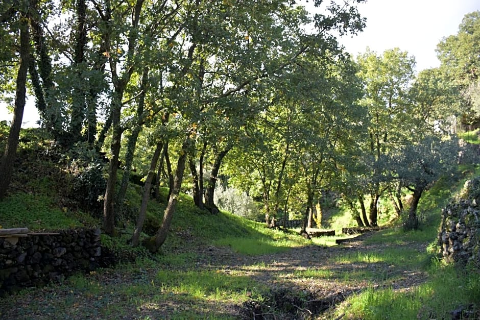 Le Querce Dell'Etna B&B