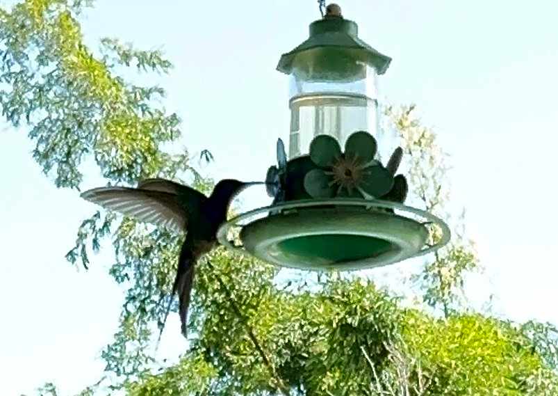 Pousada Canto do Mar Ilha Grande
