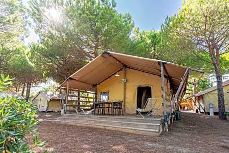 Safari Tent - Capacity 4